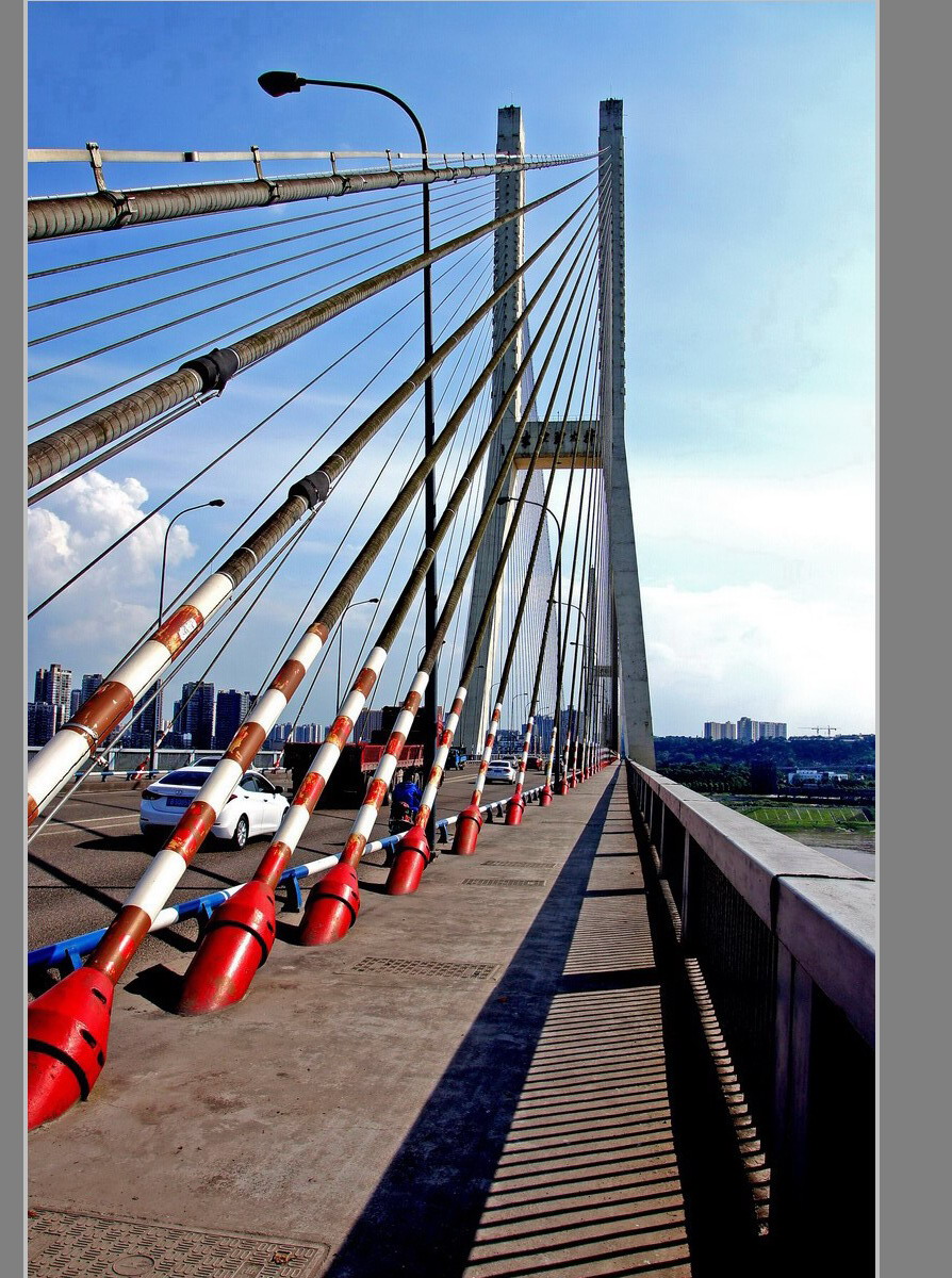 重庆李家沱长江大桥