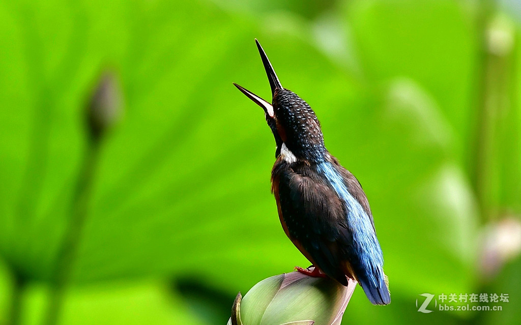 此片已在索尼星空(中国)发表，在此只是展示试镜效果，请摄影勿加分加精，谢谢；