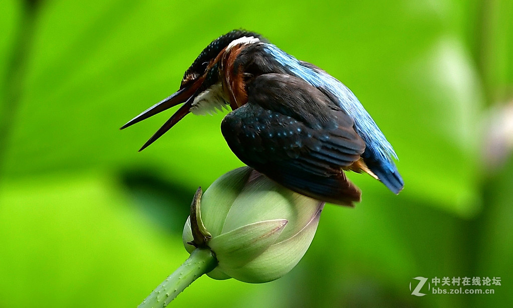 此片已在索尼星空(中国)发表，在此只是展示试镜效果，请摄影勿加分加精，谢谢；
