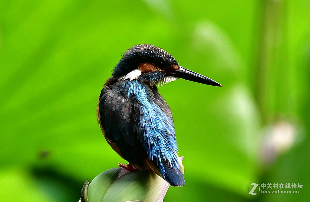 此片已在索尼星空(中国)发表，在此只是展示试镜效果，请摄影勿加分加精，谢谢；