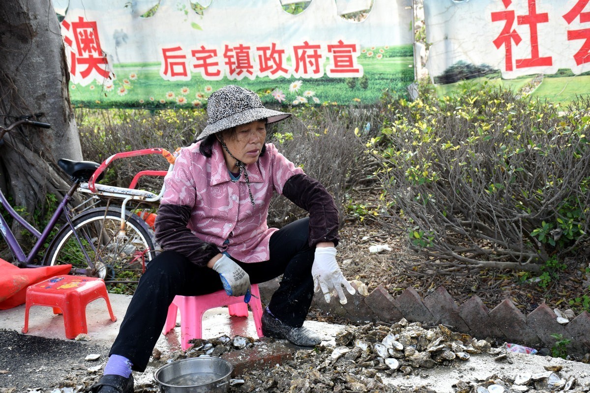 2018春节 闽粤赣（77）深澳湾的牡蛎
