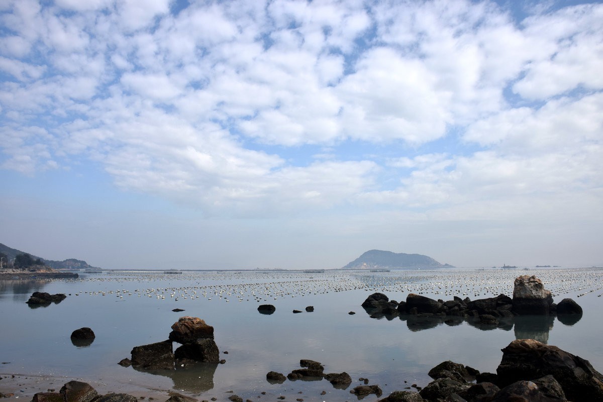 2018春节 闽粤赣（77）深澳湾的牡蛎