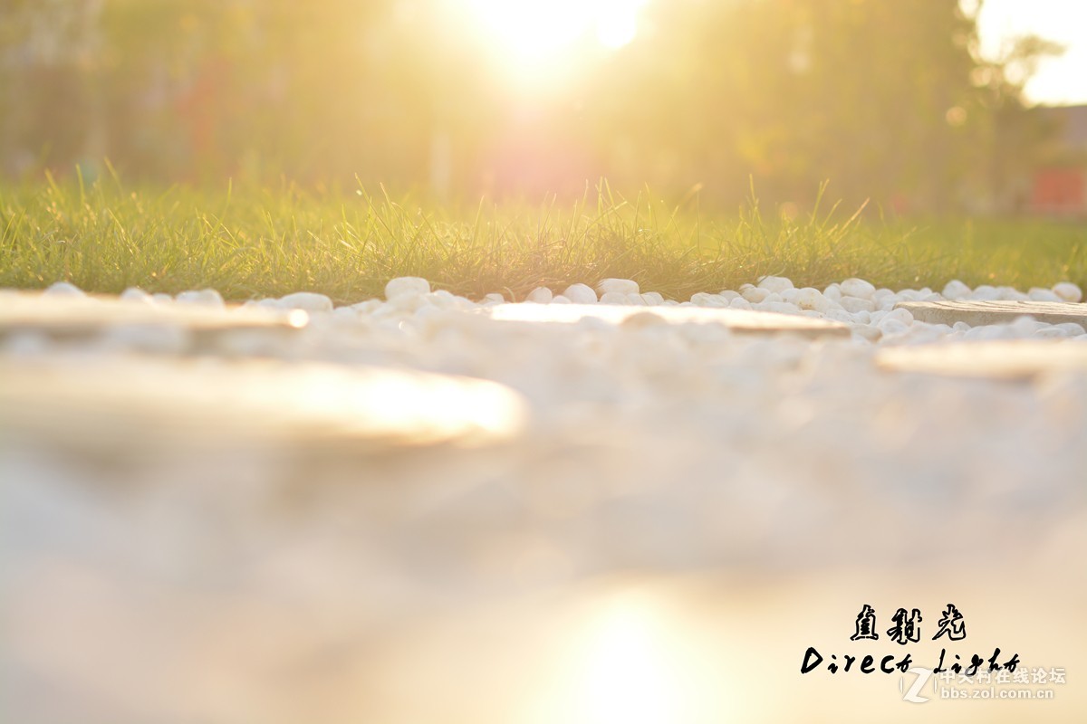 好久没发图片了,发组用D5200+50 1.4拍的照片 