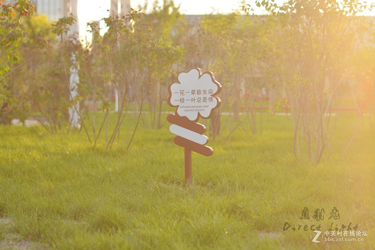 好久没发图片了,发组用D5200+50 1.4拍的照片 