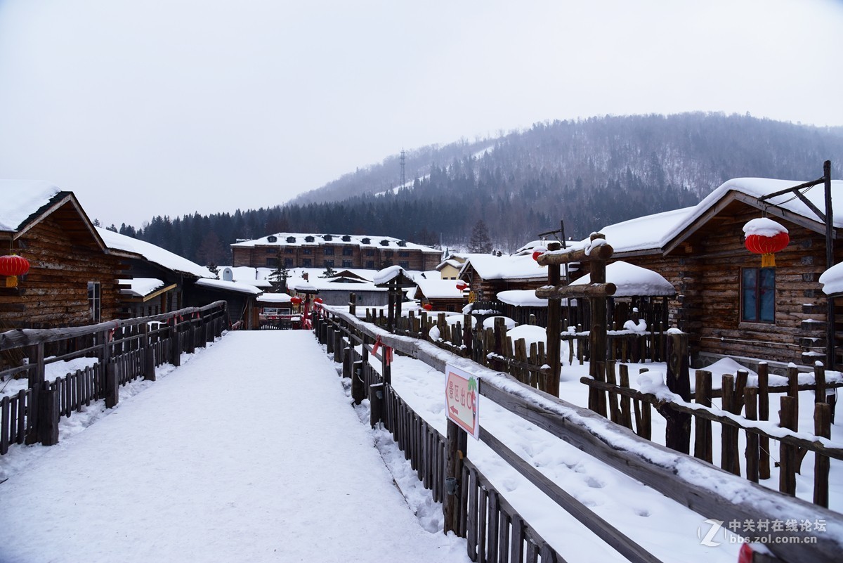 雪之魂北國的美帶您走進中國雪鄉