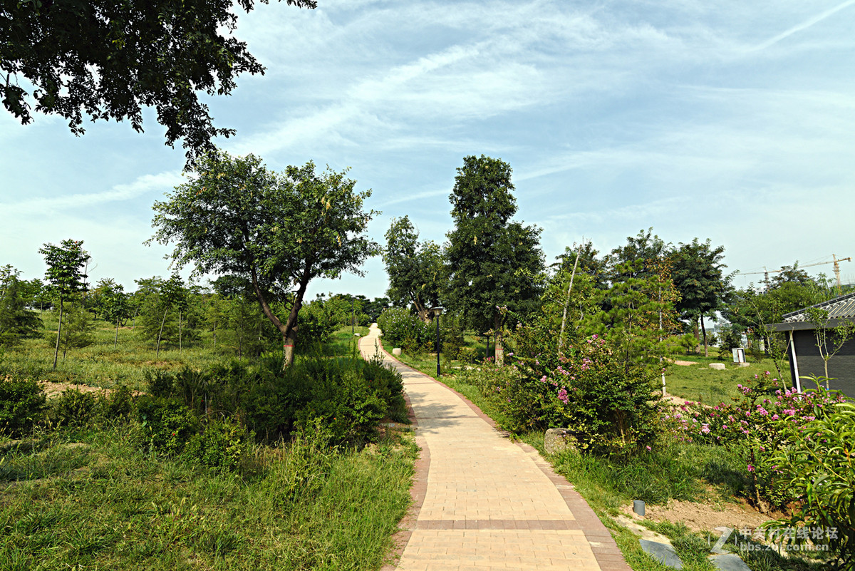 公園小景