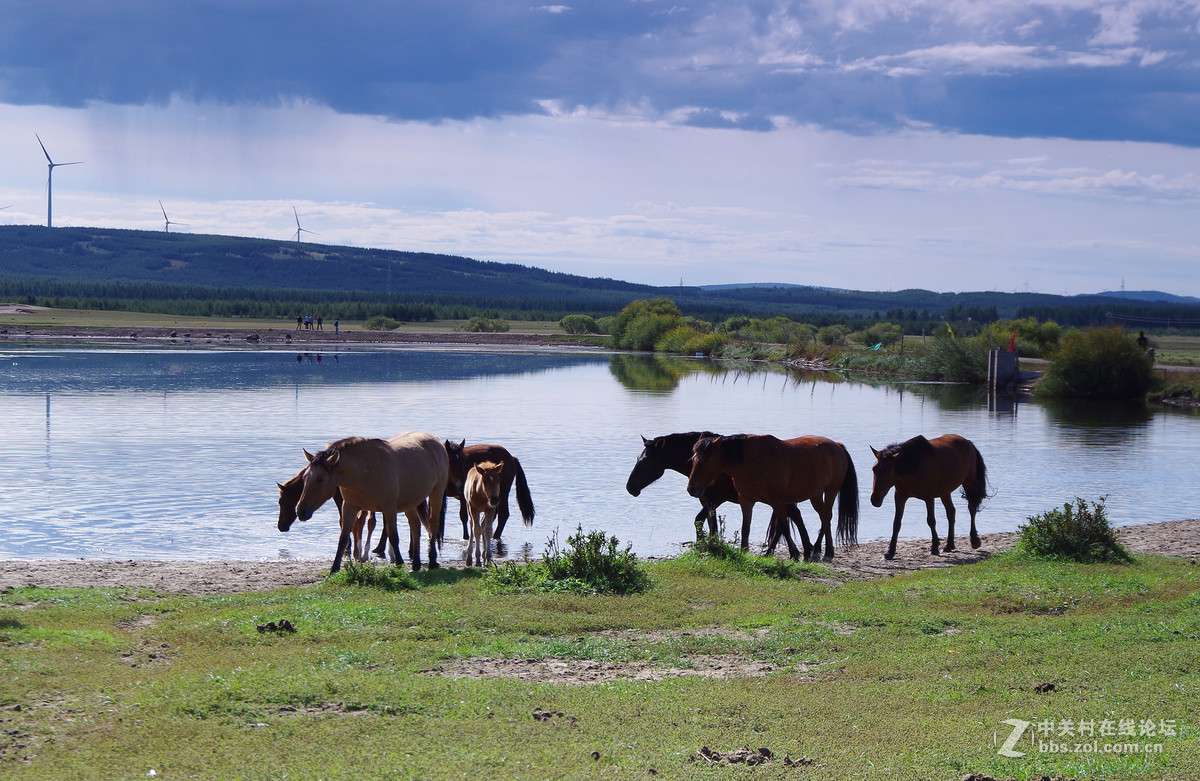 无边绿翠凭羊牧，一马飞歌醉碧宵