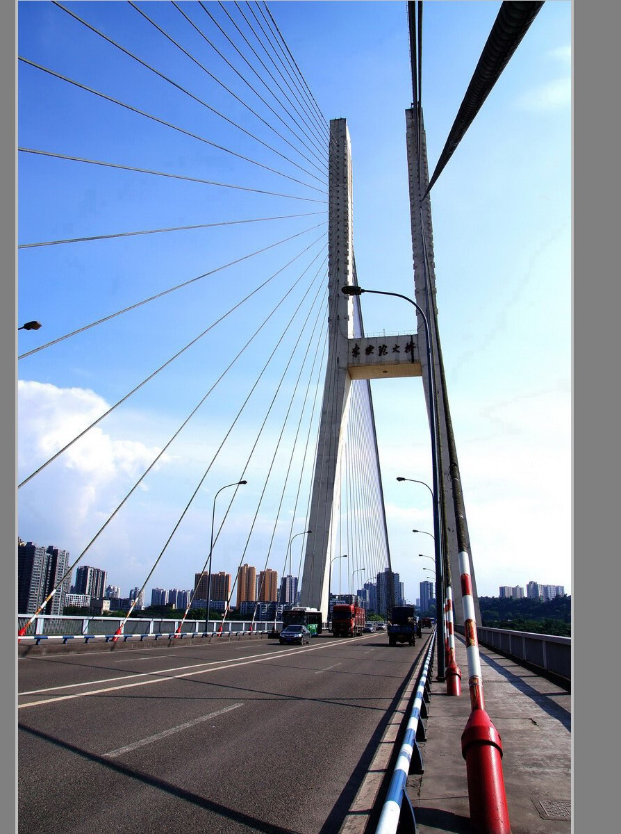 重庆李家沱长江大桥