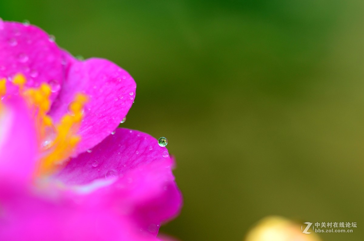 尼康70-300加近摄镜