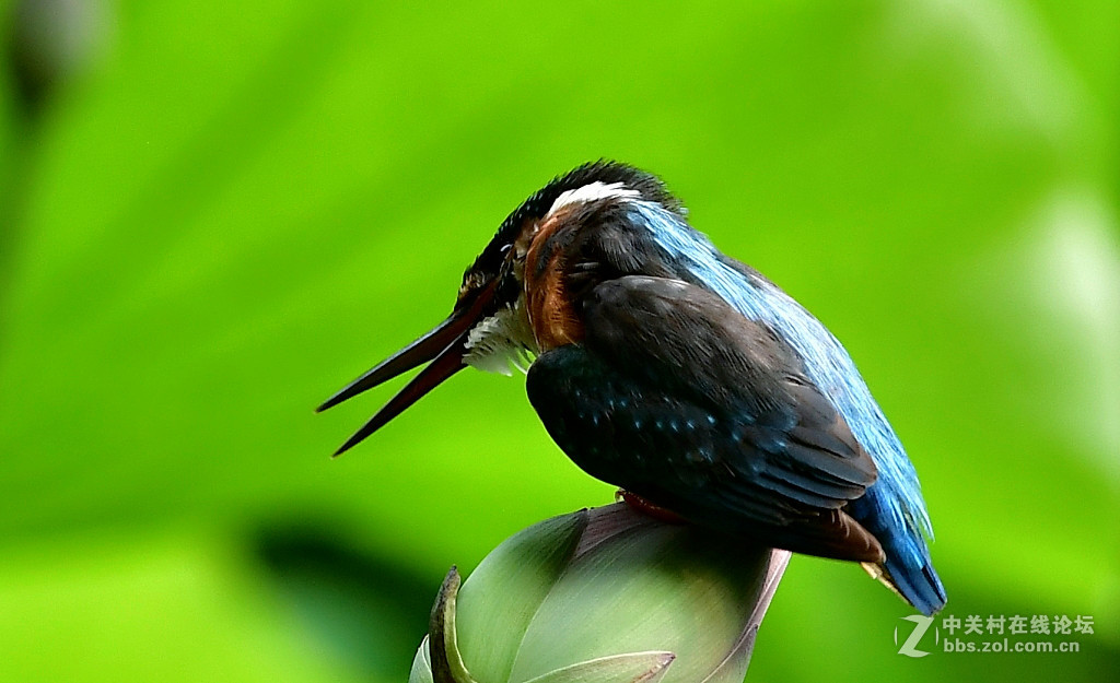 此片已在索尼星空(中国)发表，在此只是展示试镜效果，请摄影勿加分加精，谢谢；
