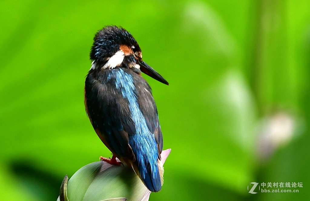 此片已在索尼星空(中国)发表，在此只是展示试镜效果，请摄影勿加分加精，谢谢；