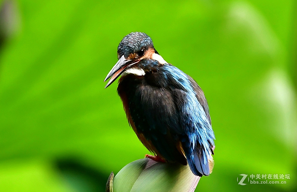 此片已在索尼星空(中国)发表，在此只是展示试镜效果，请摄影勿加分加精，谢谢；