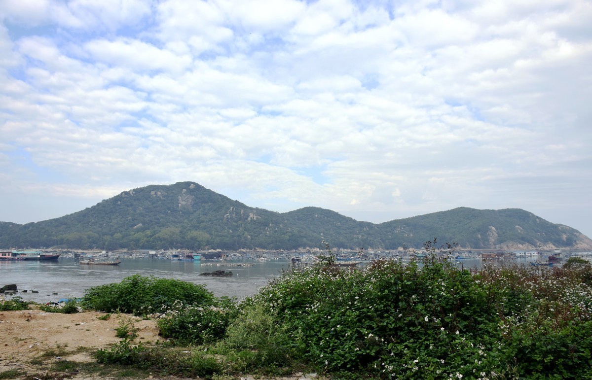 2018春节 闽粤赣（77）深澳湾的牡蛎