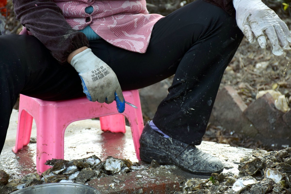 2018春节 闽粤赣（77）深澳湾的牡蛎