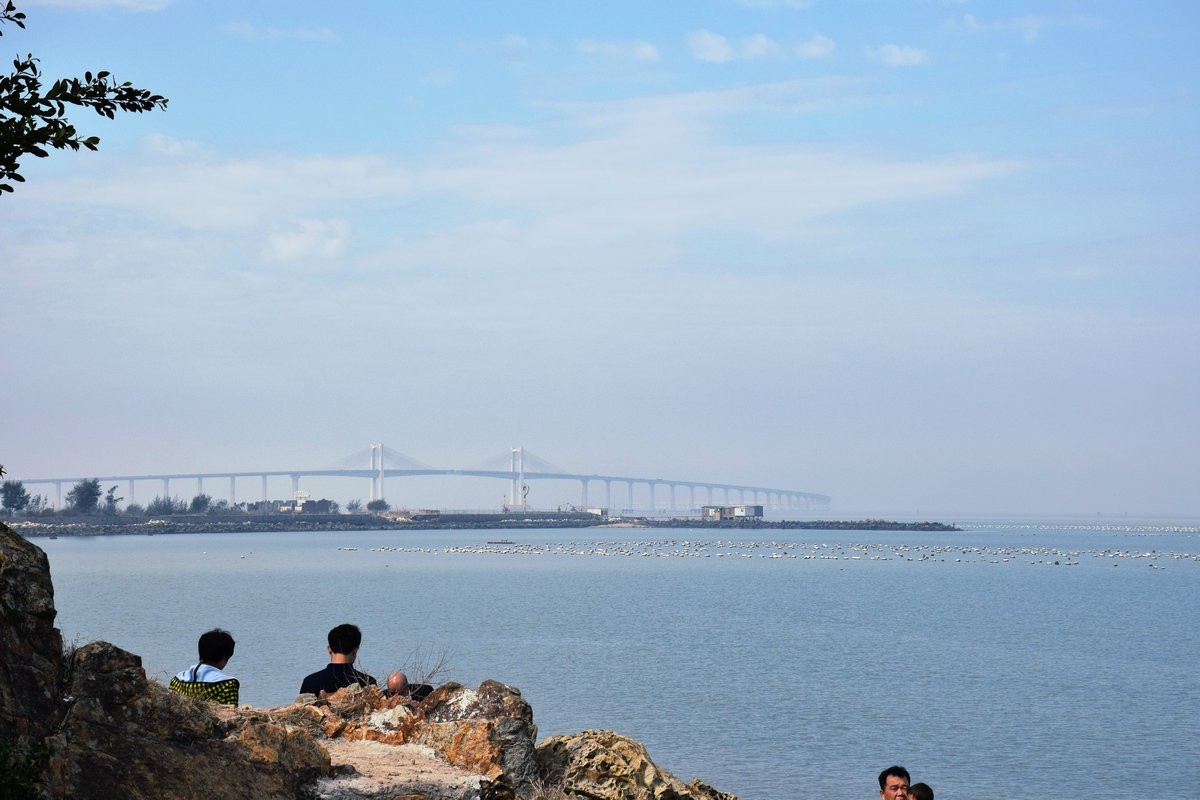 2018春节 闽粤赣（77）深澳湾的牡蛎