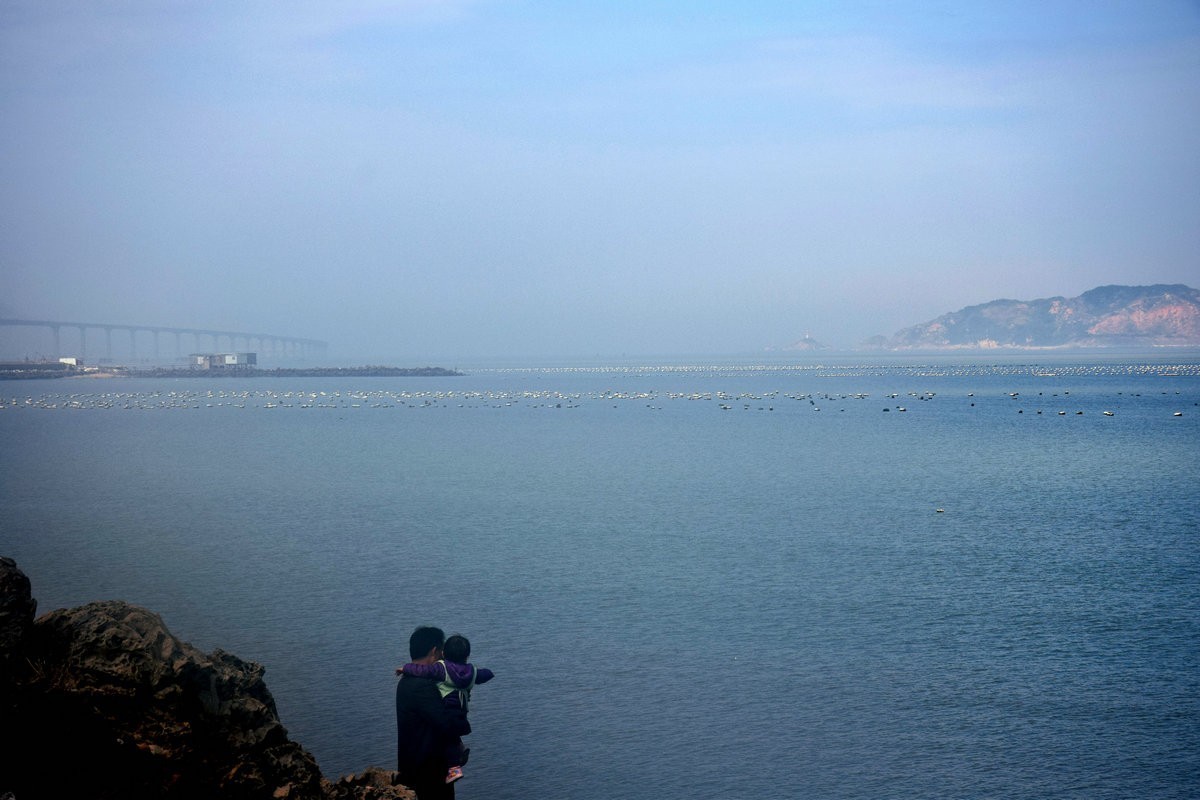 2018春节 闽粤赣（77）深澳湾的牡蛎