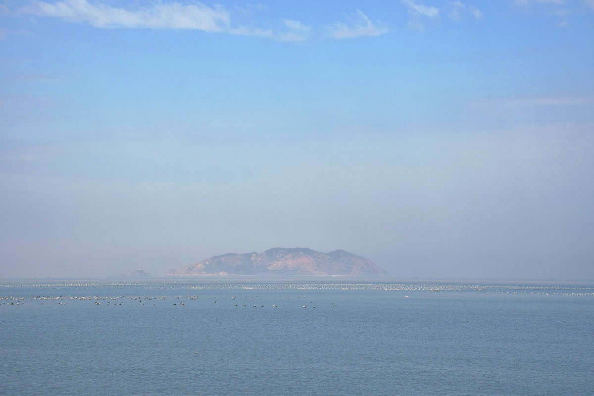 2018春节 闽粤赣（77）深澳湾的牡蛎