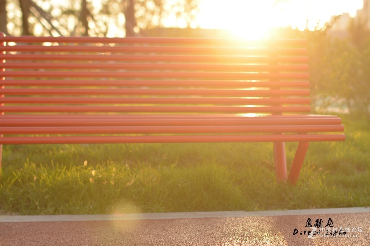 好久没发图片了,发组用D5200+50 1.4拍的照片 