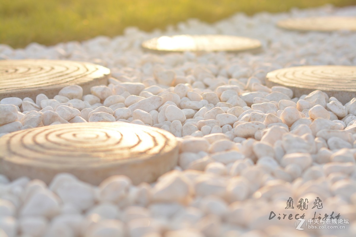 好久没发图片了,发组用D5200+50 1.4拍的照片 