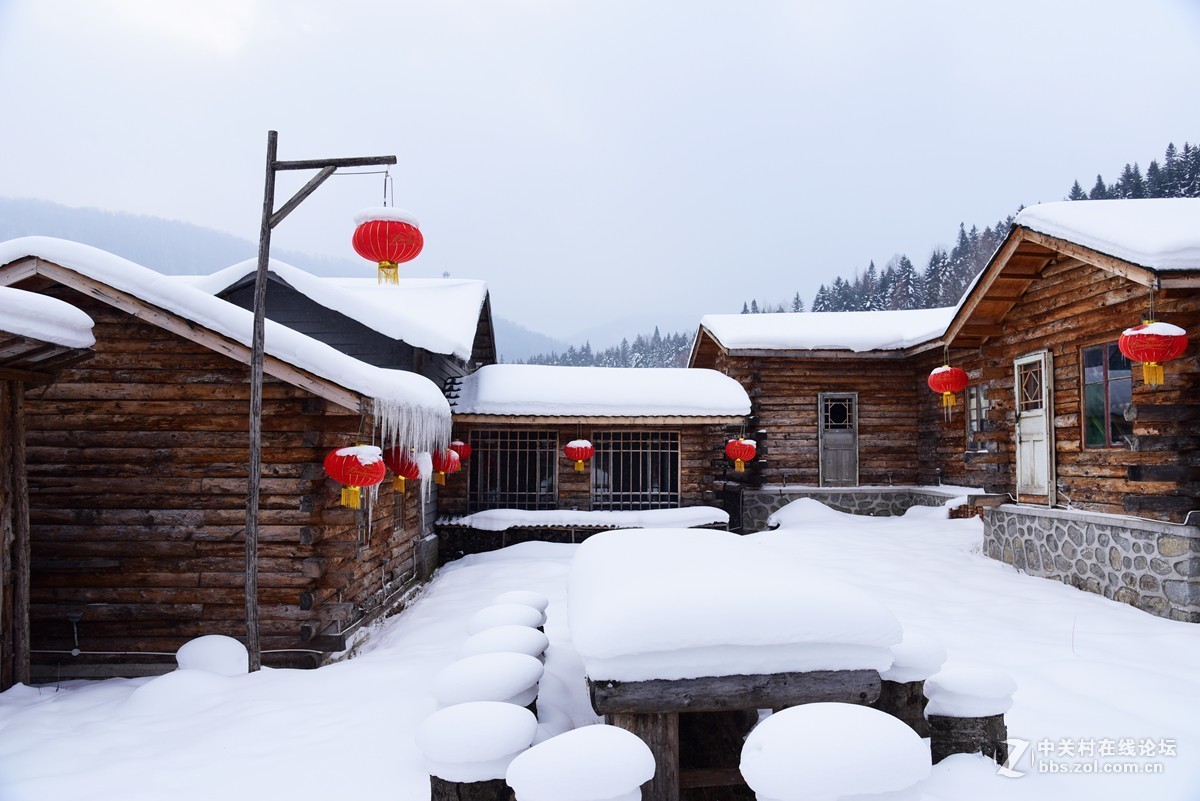 雪之魂北國的美帶您走進中國雪鄉