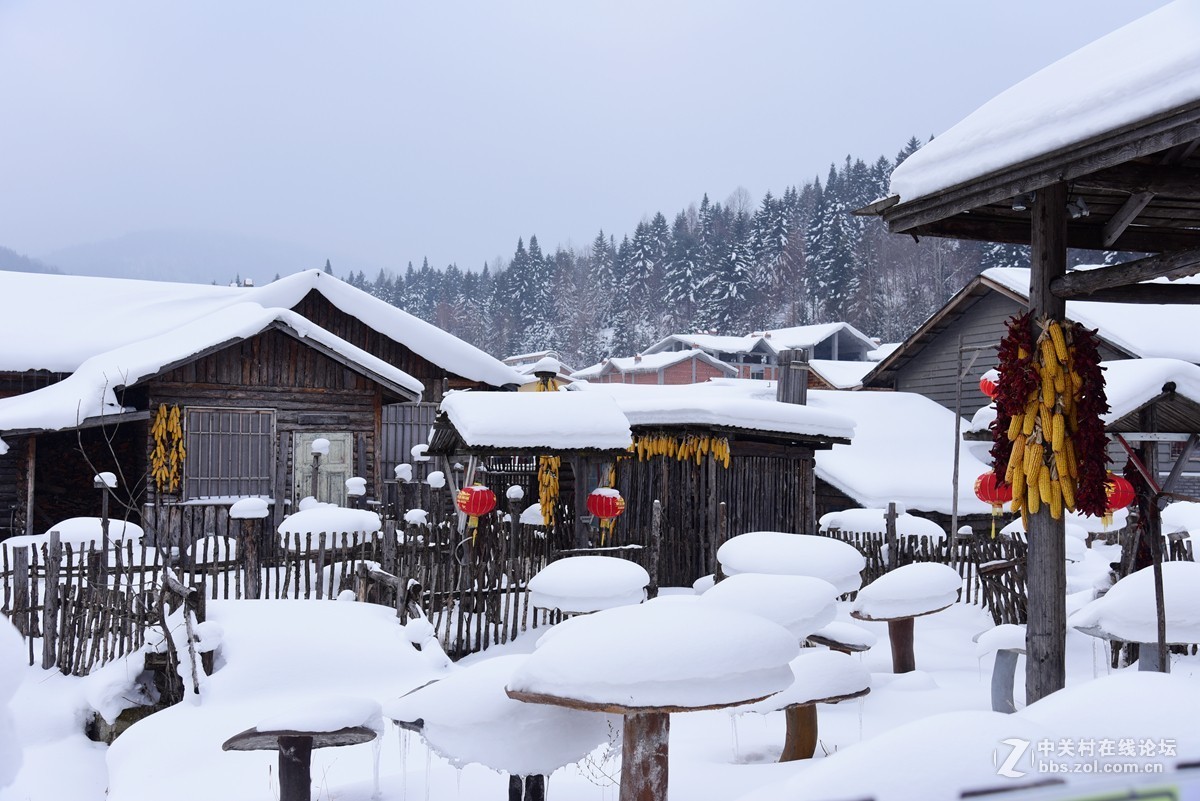 雪之魂北國的美帶您走進中國雪鄉