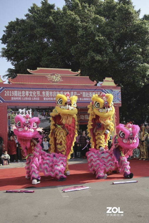 南社古村又搞活动了