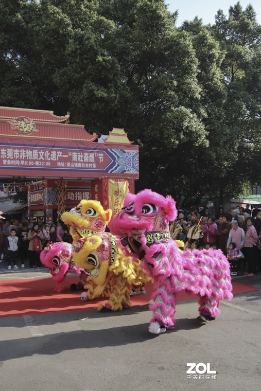 南社古村又搞活动了