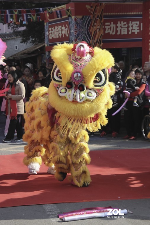 南社古村又搞活动了