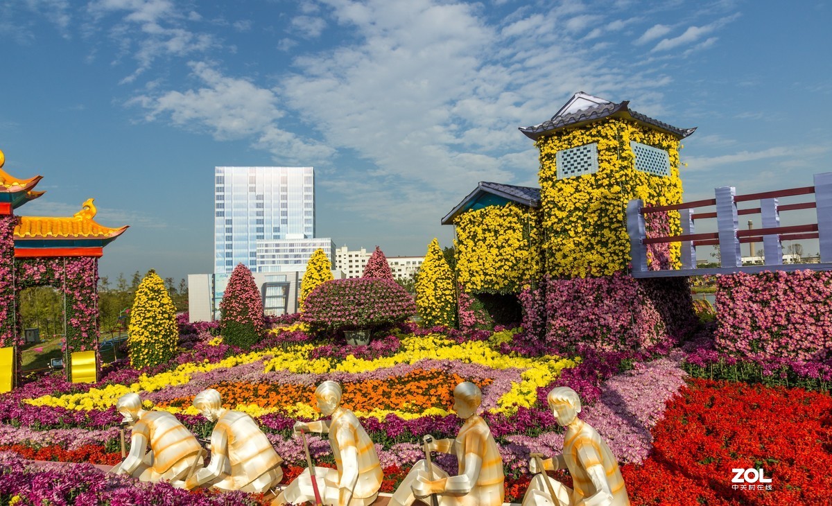 中山小榄之《菊花乐园》