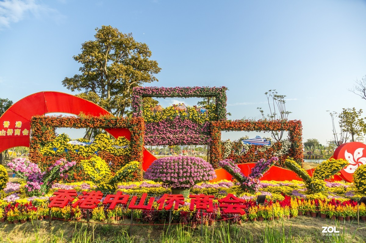 中山小榄之《菊花乐园》