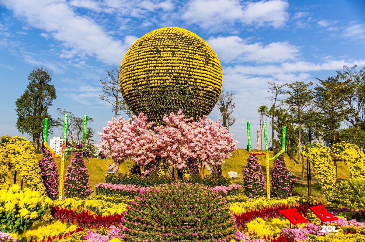 中山小榄之《菊花乐园》