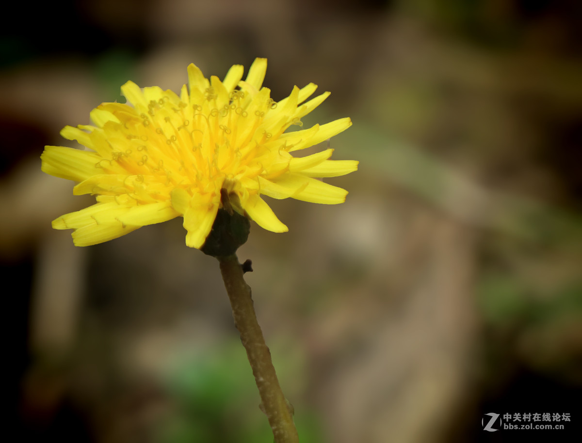 套机过年学习拍了几张