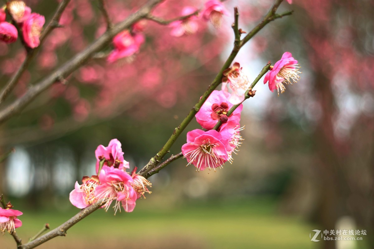 套机过年学习拍了几张