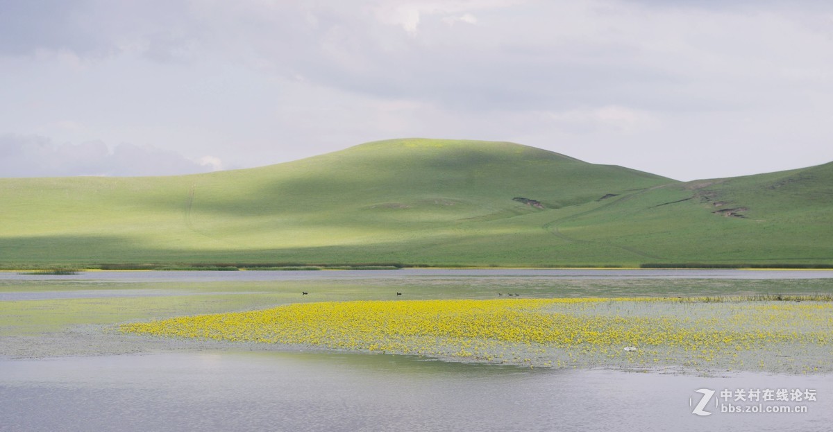 乌兰布统--塞罕坝