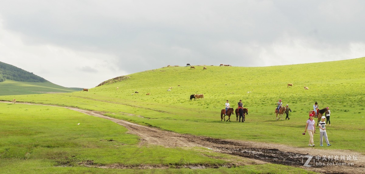 乌兰布统--塞罕坝