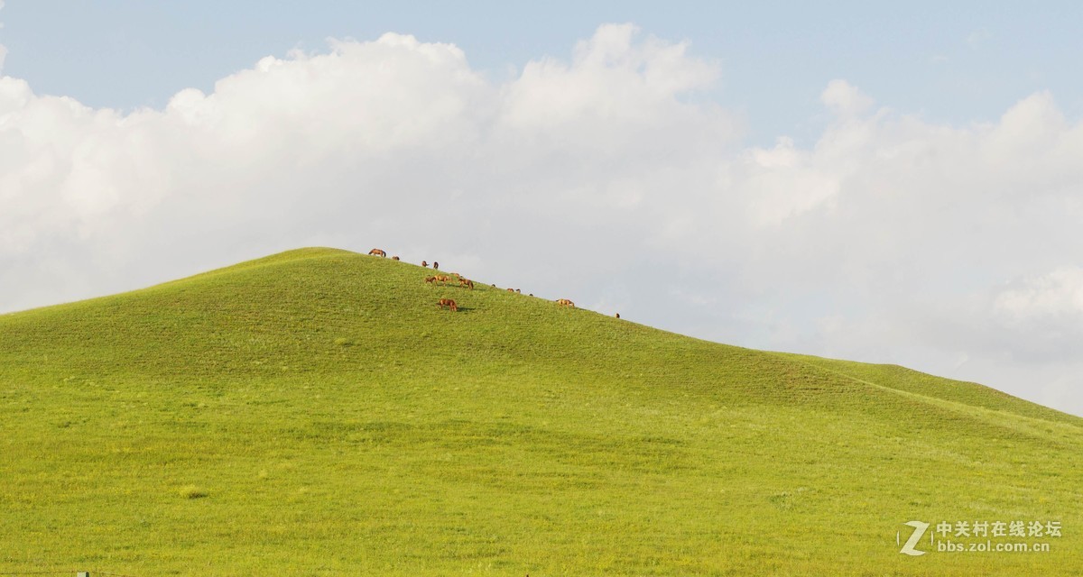 乌兰布统--塞罕坝