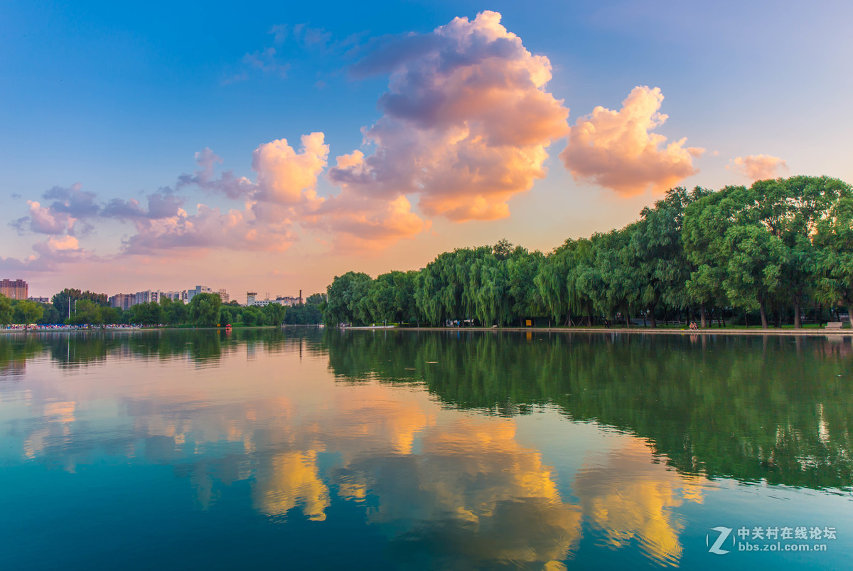 傍晚的沈阳万柳塘