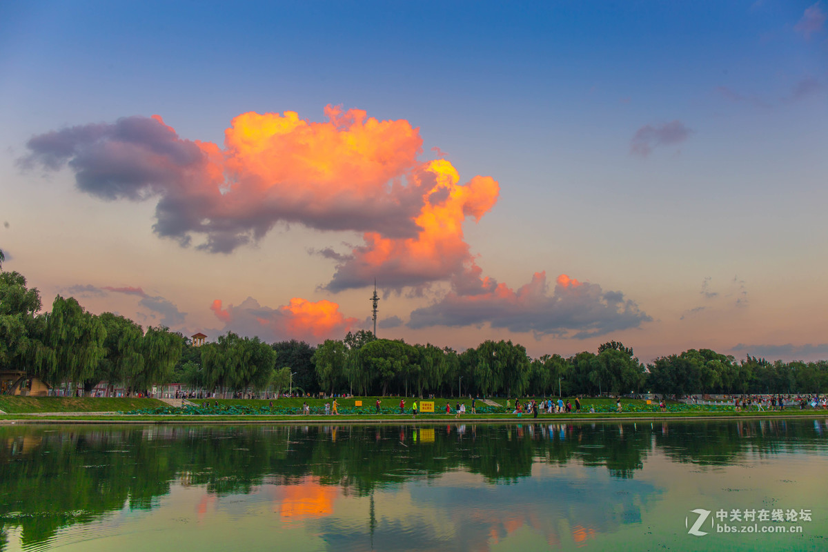 傍晚的沈阳万柳塘