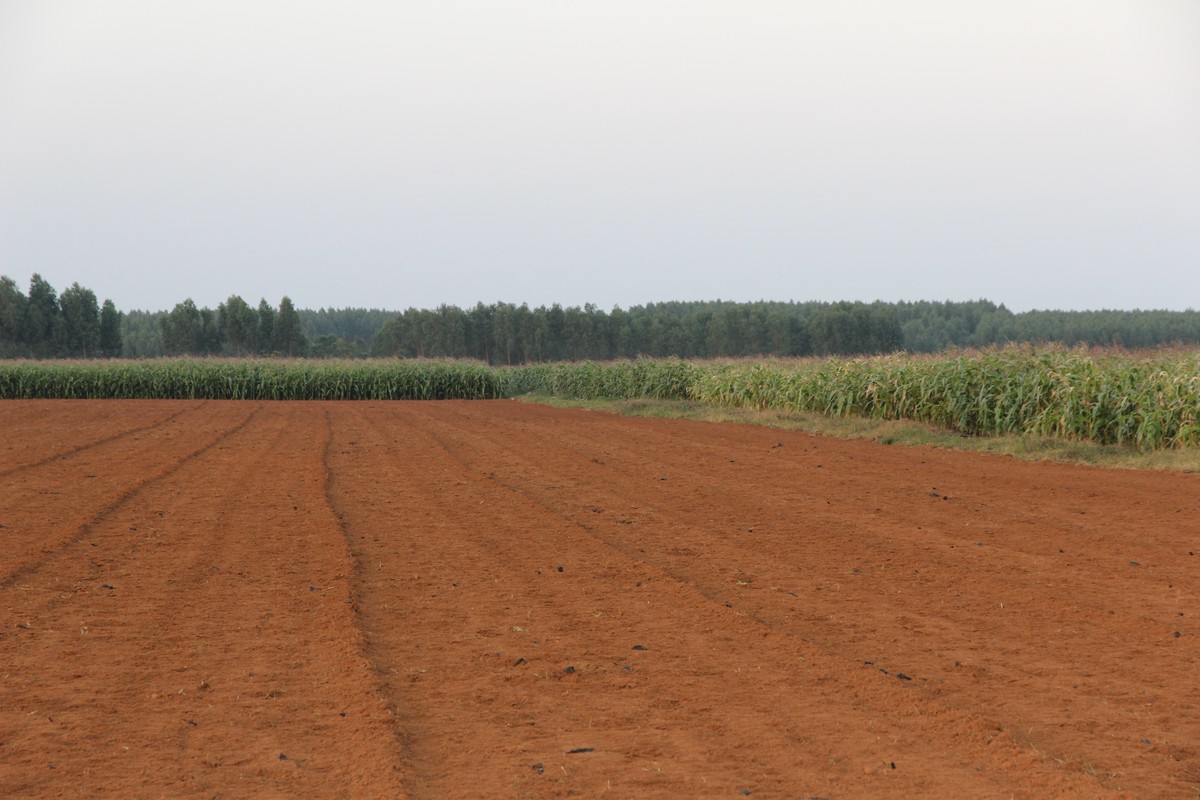 冬天傍晚----散步在南中国的田间地头