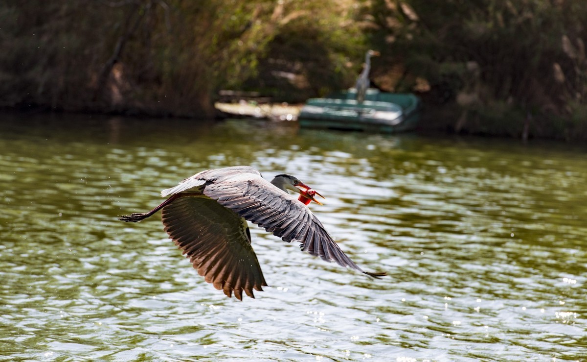 望海公园---水上舞者