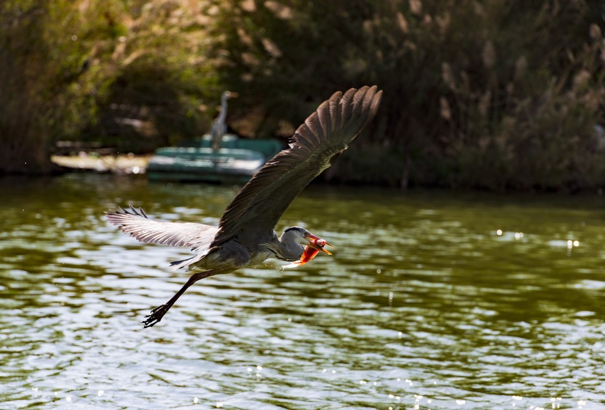 望海公园---水上舞者