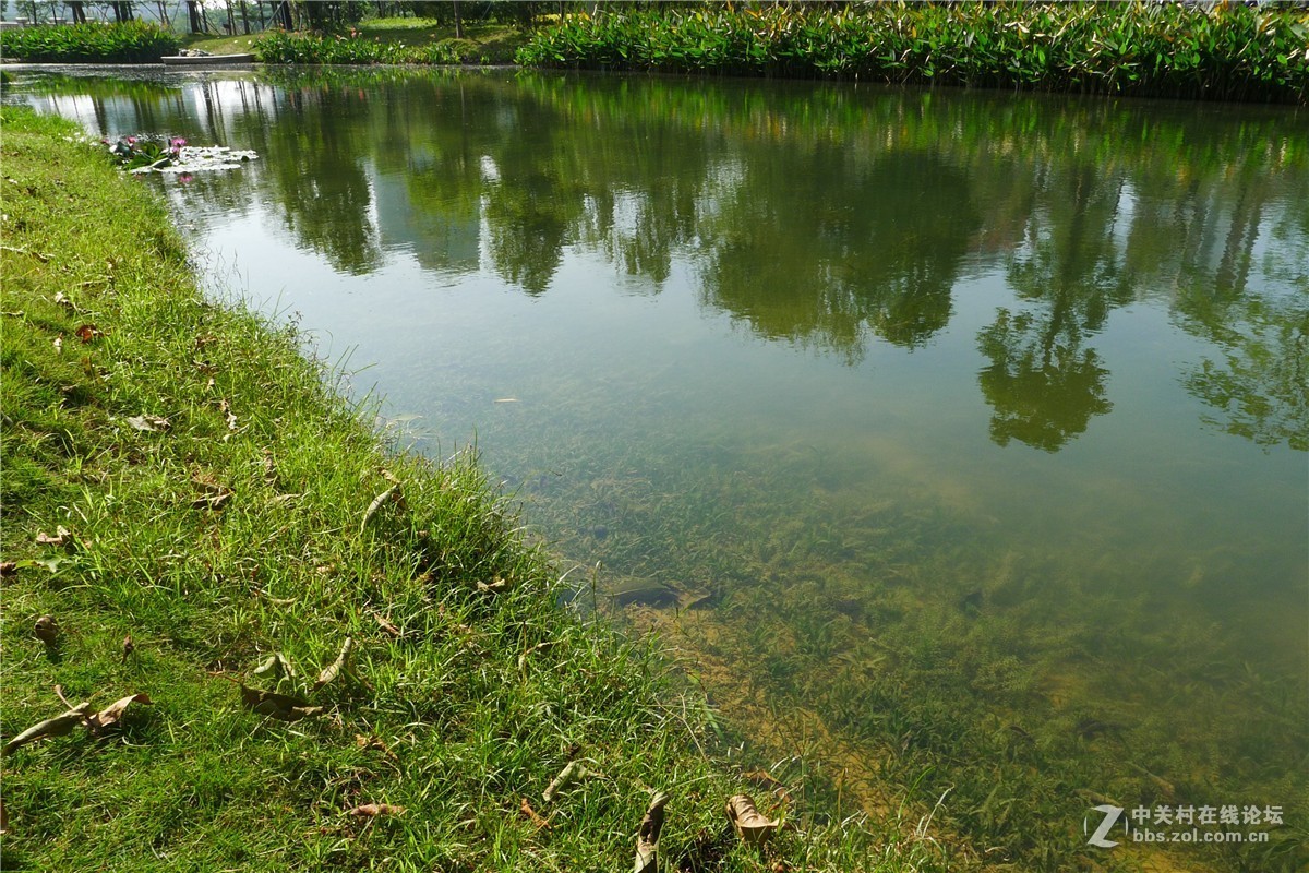 =====南国欧州 风情小镇====