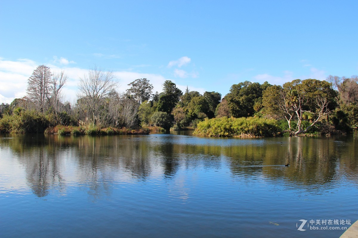 #佳能迷你单反EOS 200D 看见南腔北调#悉尼风光