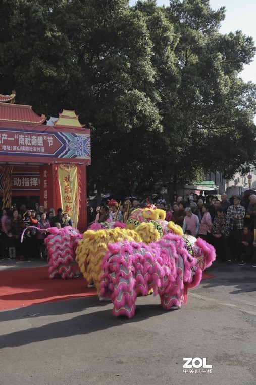 南社古村又搞活动了