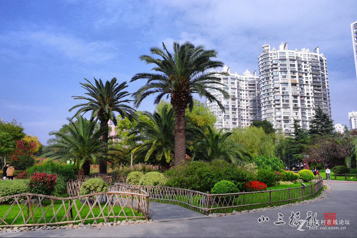 上海四川北路公园