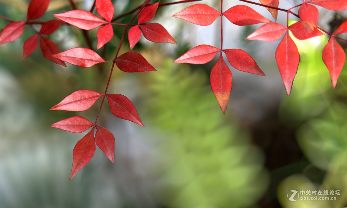 套机过年学习拍了几张