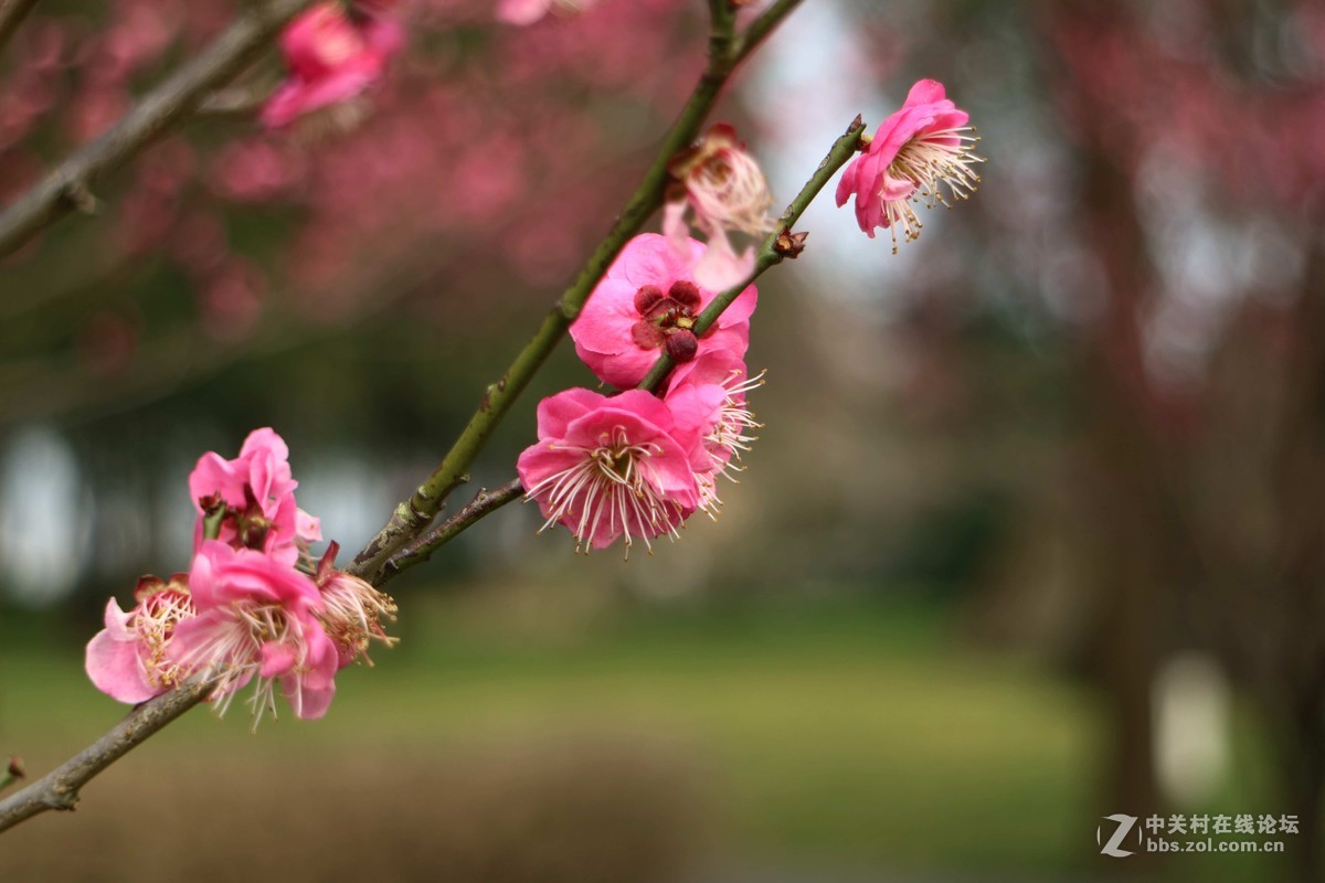 套机过年学习拍了几张