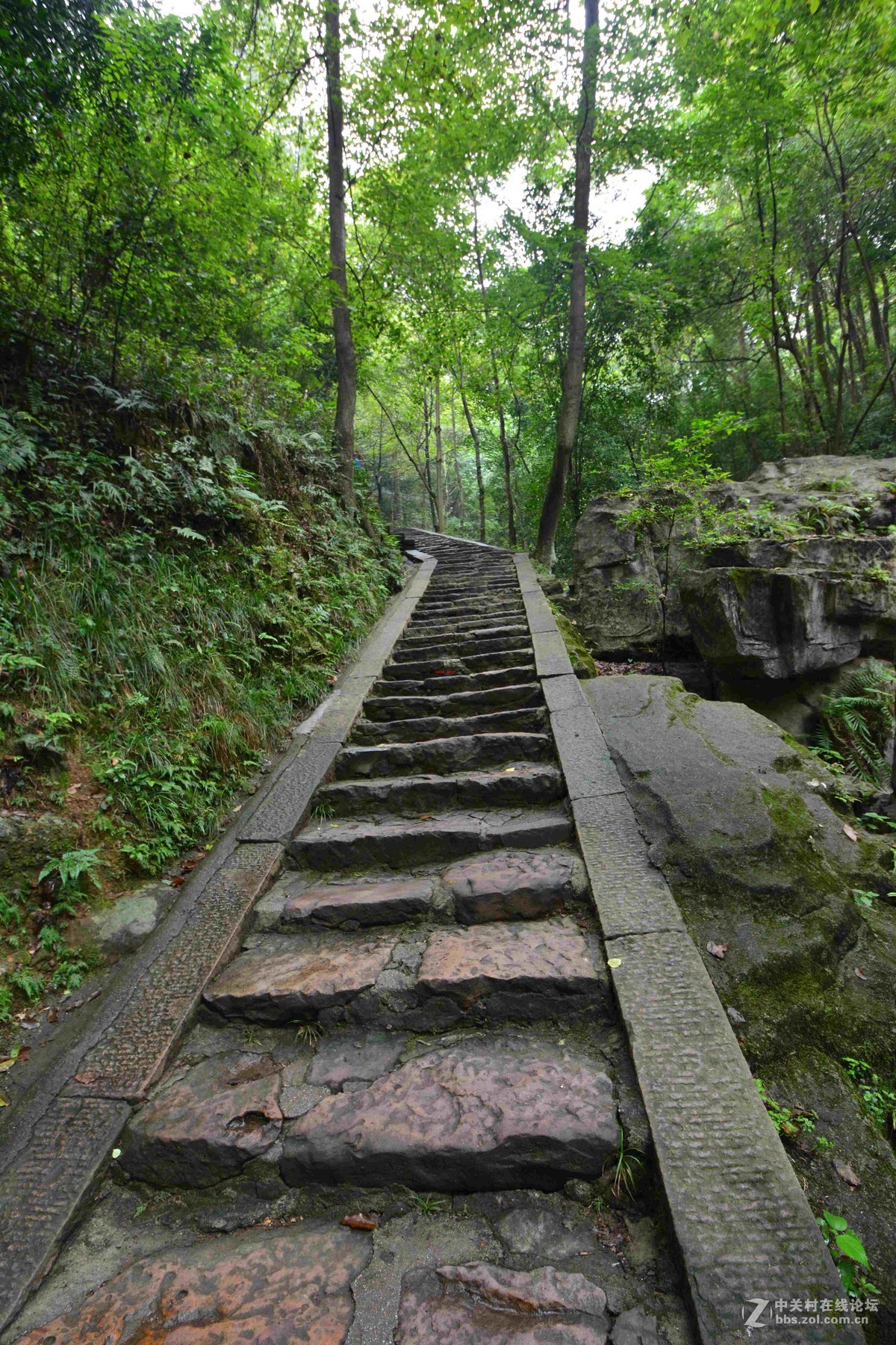 上山下山