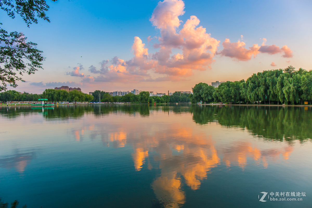 傍晚的沈阳万柳塘