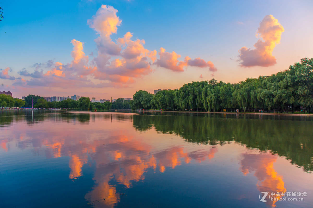 傍晚的沈阳万柳塘